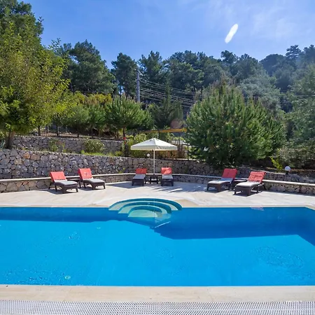 Tatil Premium Gardenia 페티예