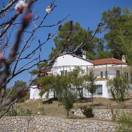 Tatil Premium Gardenia 빌라 페티예